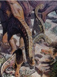 Ambush At Gall