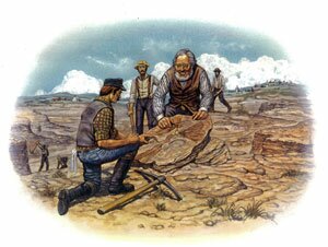Discovery of Archaeopteryx