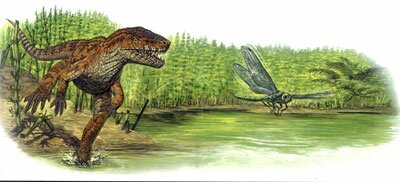 Fast Prey